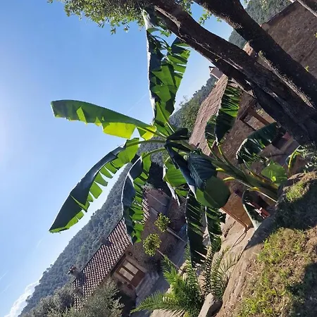 Holiday home El Raco Dels Mussols 2