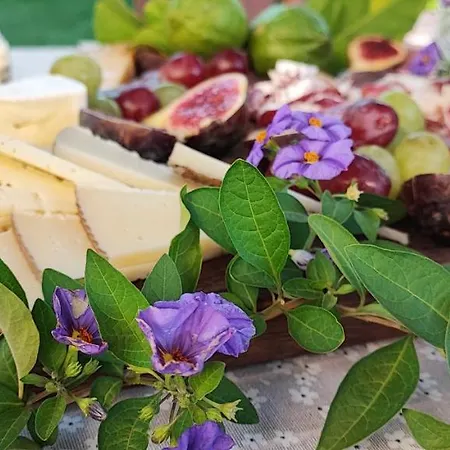 El Raco Dels Mussols 2 *