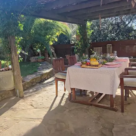 El Raco Dels Mussols 2 Holiday home Adri